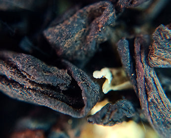 liquorice