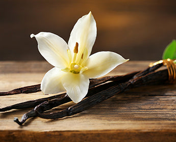 vanilla